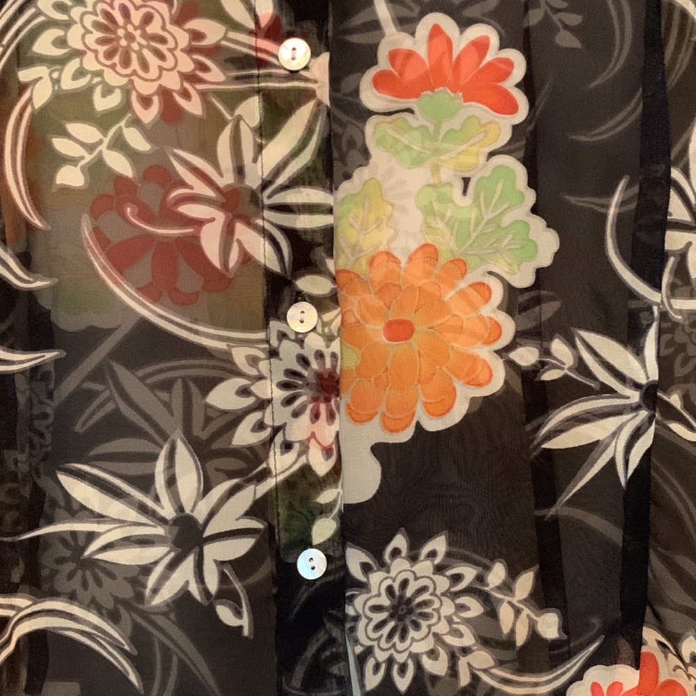 Nicola sheer button down - Picture 3 of 12